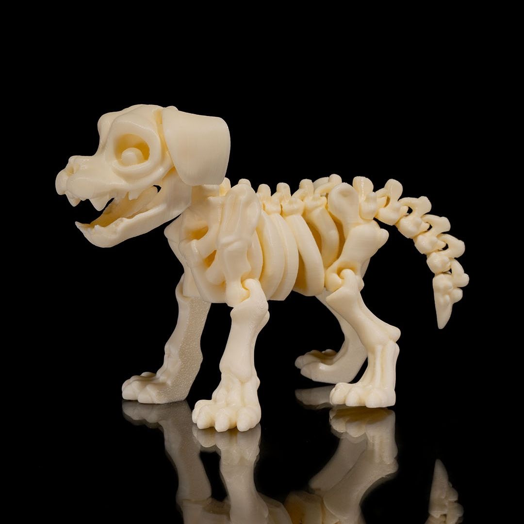 Bone, der treue Skeleton-Hund aus hochwertigem 3D-Druck mit loyalem Blick und aufmerksamer Haltung - zuverlässige Gothic Deko-Figur von Gecko3D.de