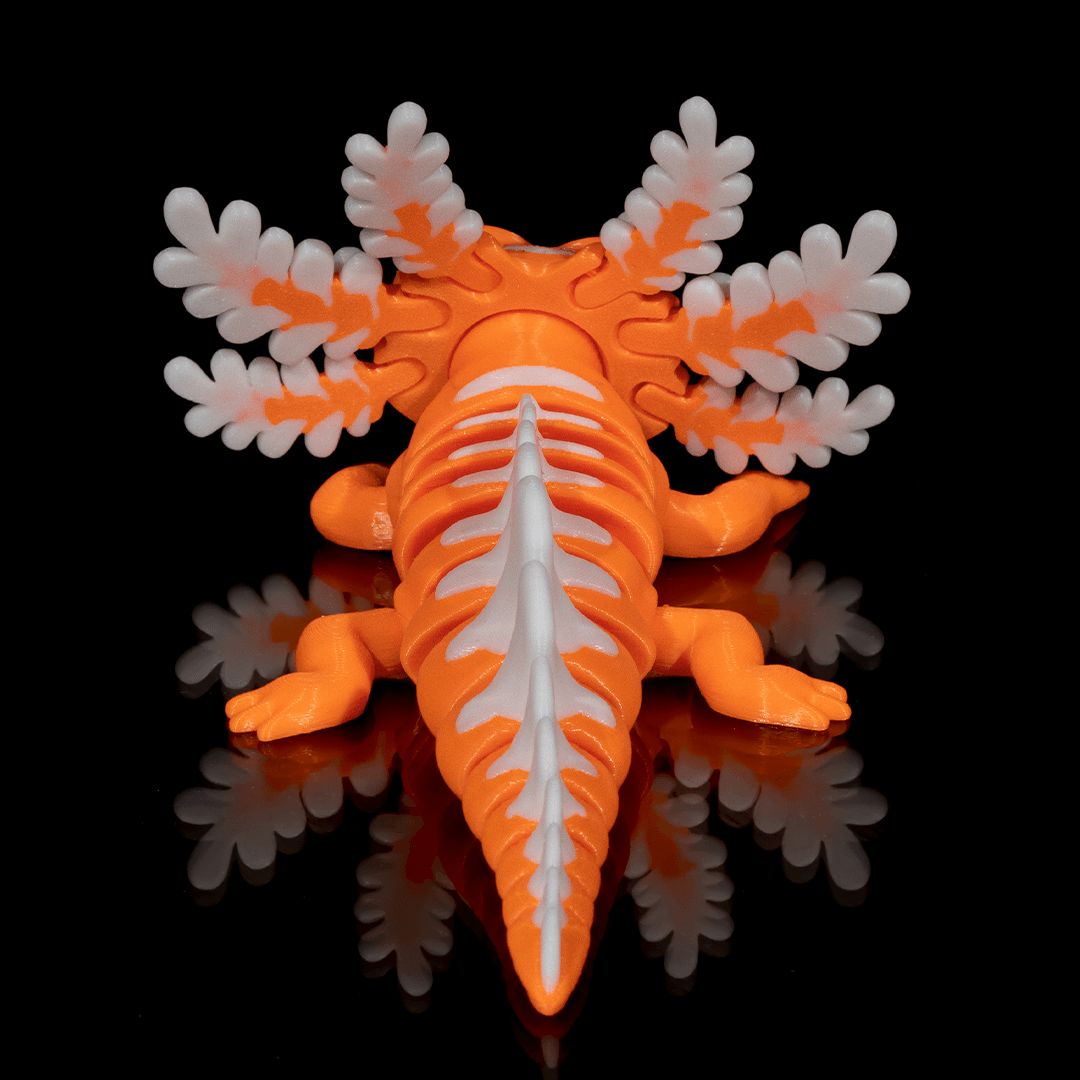 Dandy Candy Axolotl 3D-Figur orange weiß - Der Aufgedrehte - Gecko3